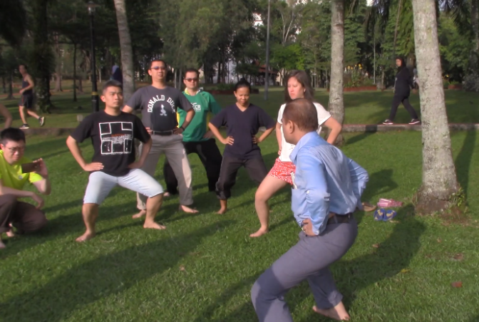 ACMOS Lecher Antenna Set